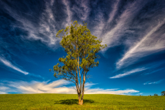Australia-1121