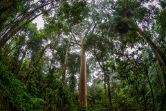 Australia-496