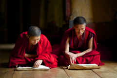 Studierende Mönche