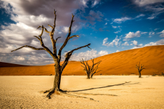 DSC1548-Bearbeitet-2