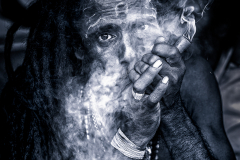 DSC2361-Bearbeitet-Bearbeitet-2