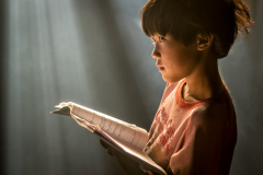 DSC9911-2-Bearbeitet