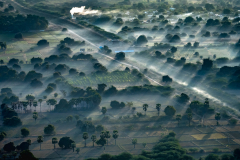 DSC9922