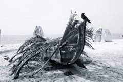 Indien-2015-Kerala-318