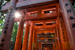 Japan-119