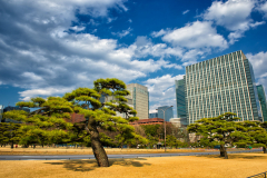 Japan-36