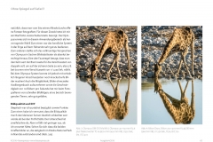 Tierfotografie mit Olympus - eine Erfahrungsbericht von Thorge Berger im Fotoespresso 2016-04