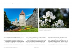 Reisefotografie -- Fotoreise Tallinn - ein Beitrag von Thorge Berger im Fotoespresso-2017-06