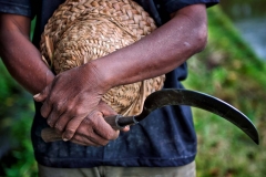 Hände eines Farmers auf Bali, Indonesien