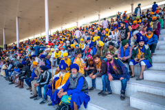Crown-on-the-grandstand