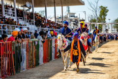 Horsemen-parading-in-front-of-the-grandstand