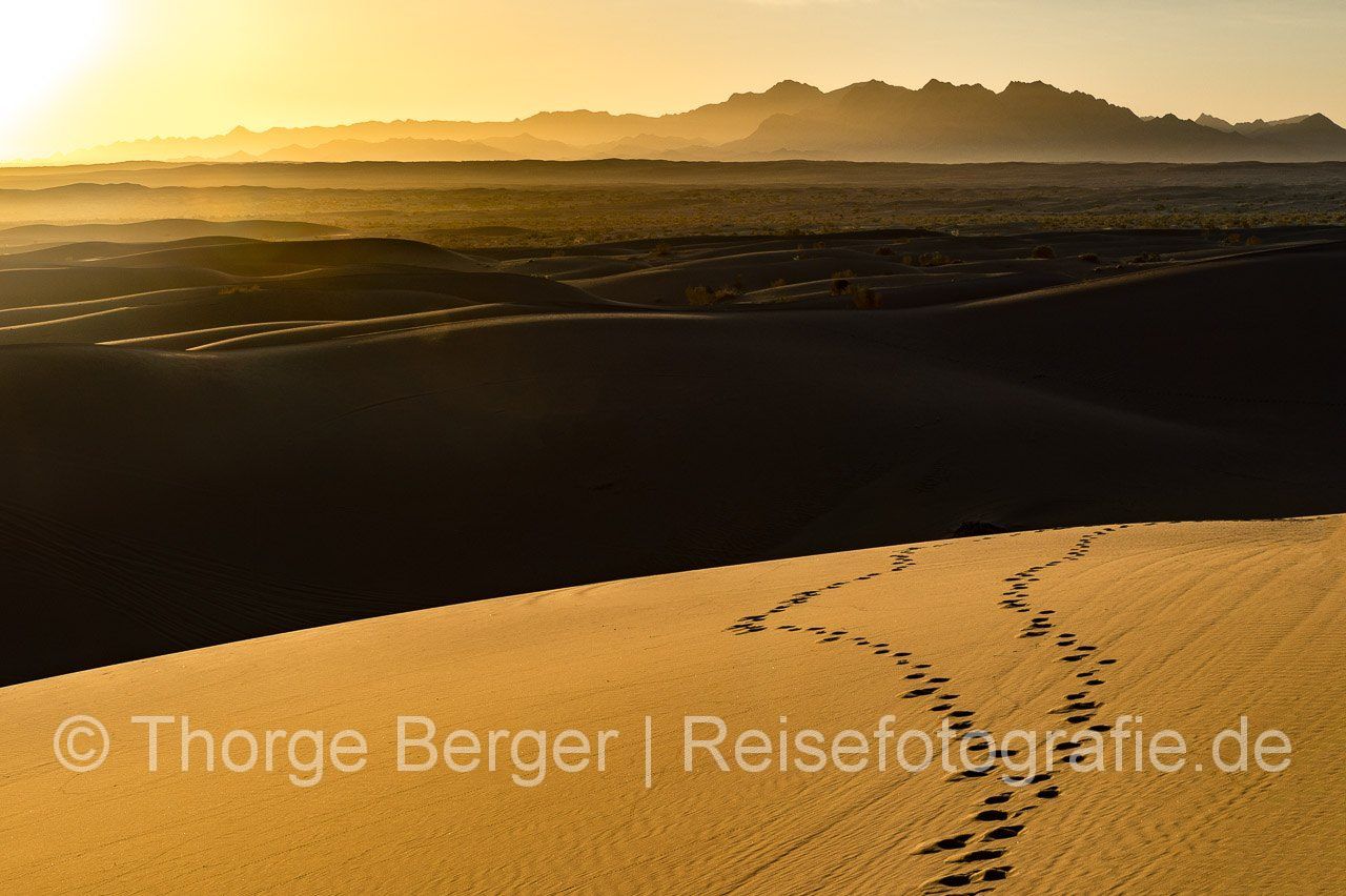 Spuren im Sand der Wüste Mesr