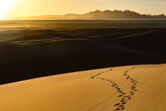 Spuren im Sand der Wüste Mesr