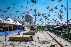 Hazratbal Moschee bei Srinagar