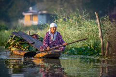 Alte Frau im Boot auf dem Dal See