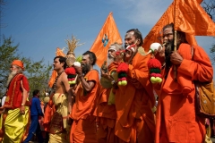Parade von Sadhus - Kumbh Mela 2010 in Haridwar