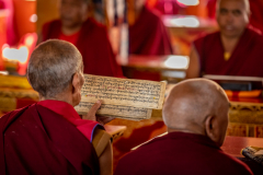 Mönche mit Palmblatt-Schriften beim Gebet