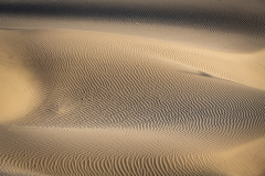 Wüstenlandschaft im Nubra Valley