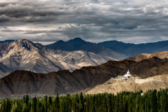 DSC5169-Verbessert-RR