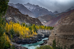 Herbstliche Landschaft am Indus