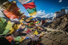 Tsemo-Castle-in-Leh-1