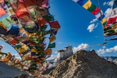 Tsemo-Castle-in-Leh-2