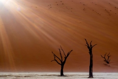 Sonnenaufgang im Dead Vlei, Namibia