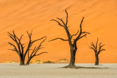 Tote Bäume im Dead Vlei, Namibia