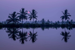 Sonnenaufgang in den Backwaters von Kerala, Indien