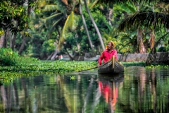 Ruderer in den Backwaters von Kerala, Indien