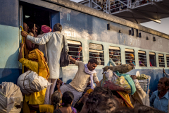 Menschenmassen drängen in einen Zug