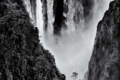 DSC2833-2-Bearbeitet-2