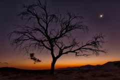 DSC1674-Bearbeitet-2