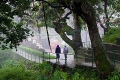 DSC0142_Aperture_preview