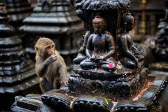 Nepal-132