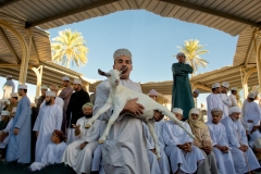 DSC5266_Aperture_preview