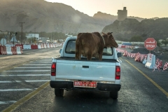 Oman-2014-634