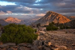 Oman-2014-934