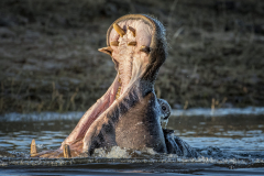 DSC2642-2-Bearbeitet-2