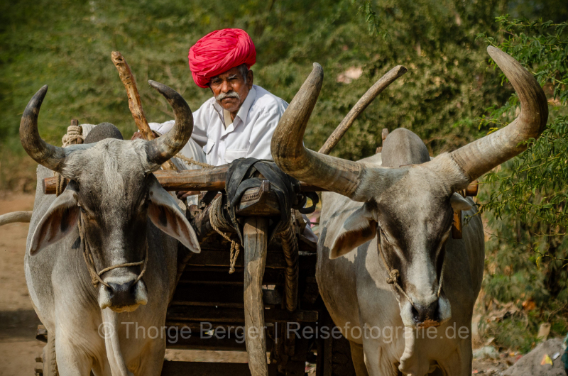 India-2014-1208