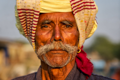 India-2014-1221