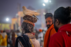 Sadhu mit Taube auf dem Kopf, Maha Kumbh Mela in Prayagraj 2025
