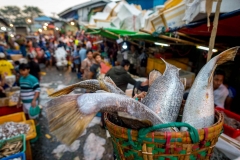 Auf dem Fischmarkt in Yangon, Myanmar