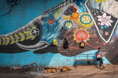 Zeitung-lesender Mann vor Elefanten-Graffiti in Prayagraj, Indien