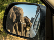 Unterwegs im Chobe National Park, Botswana