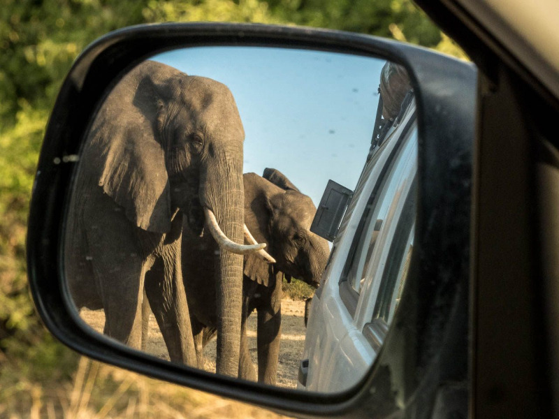 Unterwegs im Chobe National Park, Botswana