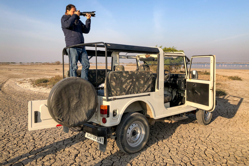 Auf der Pirsch Little Rann of Kutch, Gujarat