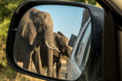 Unterwegs im Chobe National Park, Botswana