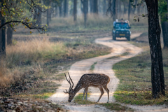 DSC0537-Verbessert-RR-Kopie