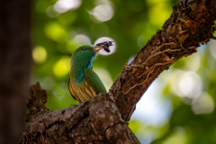 DSC0483-Verbessert-RR